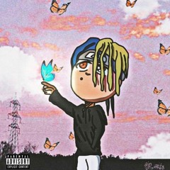 colors (produced by lui)