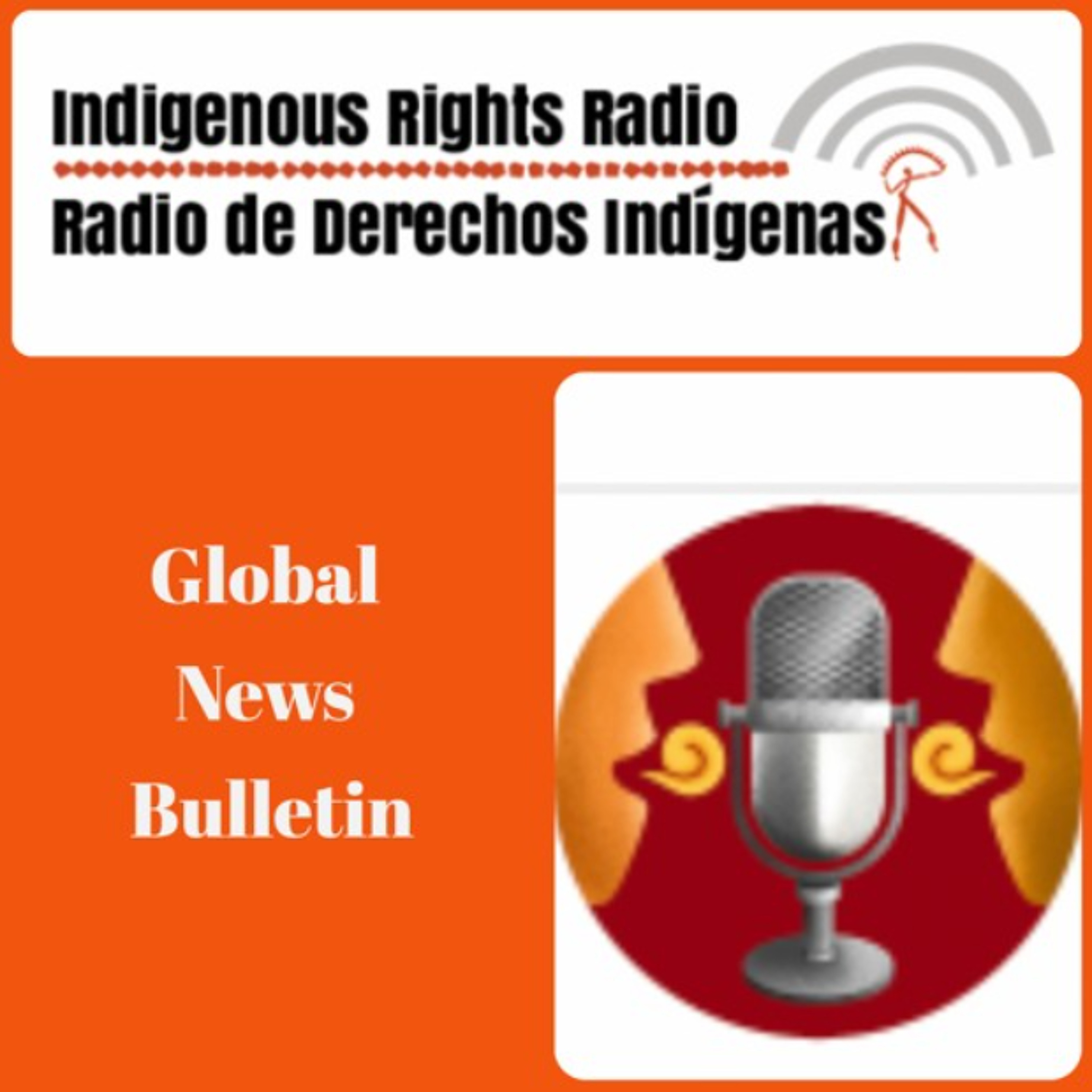 Cultural Survival Global News Bulletin July 2026