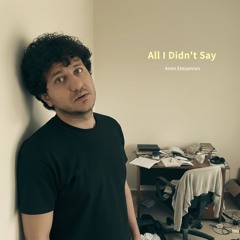 All I Didn't Say