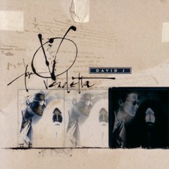 Song From The Kitty Kat Keller