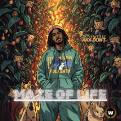 Maze Of Life (Radio edit)