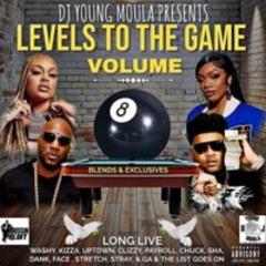 Levels To The Game Vol 8