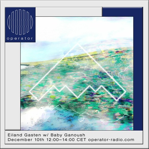 Eiland Gasten - 50 w/ baby ganoush *:･ﾟ✧ @ operator