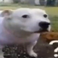 Debatable Genre (ft.GYOZJE)