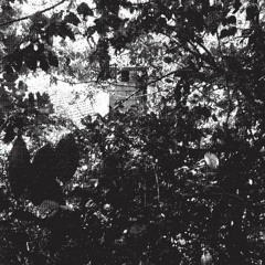 Houyhnhnm - "Cower Tire"