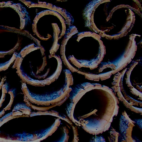THE STRING ON THE EASTERN WOOD