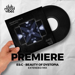 PREMIERE: Es:C ─ Beauty Of Dystopia (Extended Mix) [Polyptych Noir]