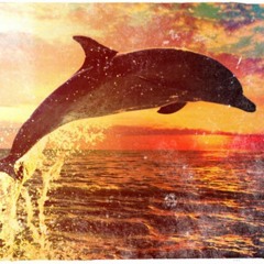 Delfino Oceano