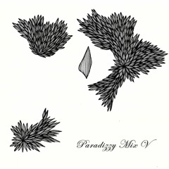 Paradizzy - Mix 005