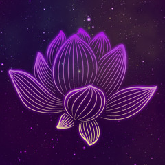 11LVN - MIDNIGHT CALLS