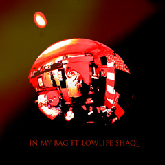 In My Bag Ft Lowlife Shaq