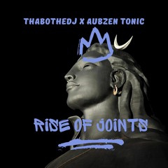 Thabothedj X Aubzen Tonic_Rise of the joints .mp3