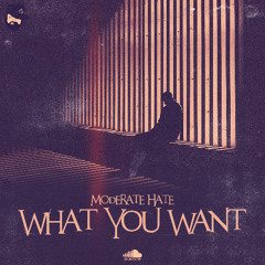 Moderate Hate - What You Want (FREE DOWNLOAD)