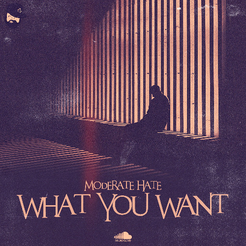 Moderate Hate - What You Want (FREE DOWNLOAD)