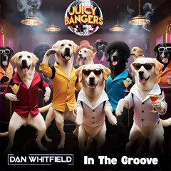 In The Groove