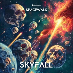 SPACEWALK- Skyfall