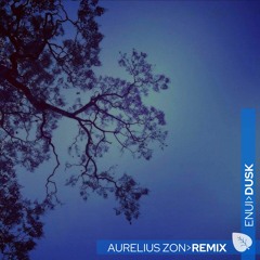 PREMIERE: Enui - Dusk (Aurelius Zon Remix)