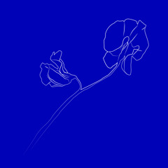 Complet Brouillé (Khidja's Hidden Formula Mix)