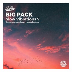 Big Pack | Slow Vibrations 05 [Downtempo Mix]