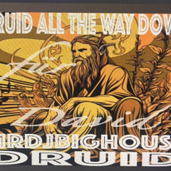 Druid All The Way Down (MrDjBigHouse + Druid667)