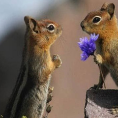 INFATUATION | BROCKHAMPTON - JERSEY REMIX