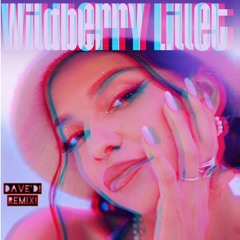 Nina Chuba - Wildberry Lillet (Dave´D! Remix)