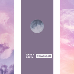 Traveller