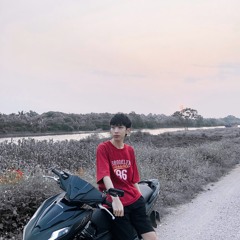 Anh Mới Chính Là Người Em Yêu - Hoa Vinh (LinDaPoet Remix)