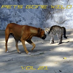 Pets Gone Wild Vol.21