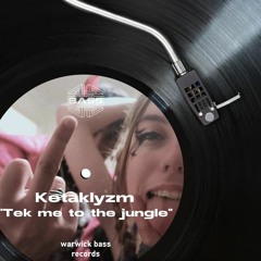 Mix Collection Vol 2: Ketaklyzm - Tek me to the jungle