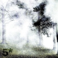 sawuinmydreamz (5fivepercent, wintfye)