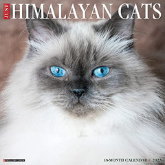 [FREE] EPUB 📔 Just Himalayan Cats 2023 Wall Calendar by  Willow Creek Press [PDF EBO