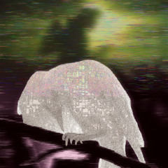 WakaFlocka (BayerGartner Cabernett)