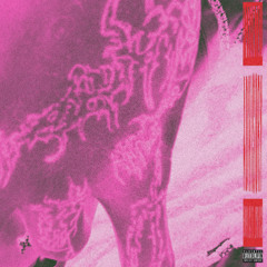 Bleedlivin - Rapid (2024) Prod Bleedlivin