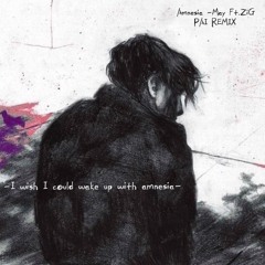 Amnesia -May Ft.ZiG (PAI Remix)
