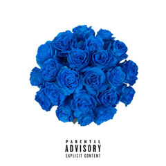 Blue Roses interlude