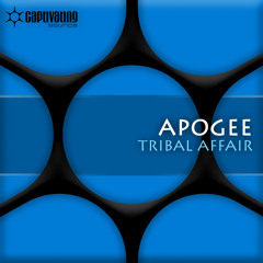 Tribal Affair (Marcos Mix)