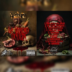 Pasajeros. (feat. Secta Egregora, RaYo, Spectro, SiryusRay & Abelico)