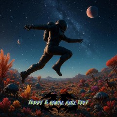 Flux Pallivion / Exostomp (Diskord Remix) - Canal ALSL & Teddy Edit