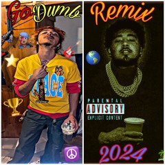 Go Dumb Ft. Don Ramiah (2024 Remastered) (Remix)