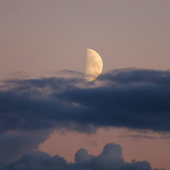 Quarter Moon