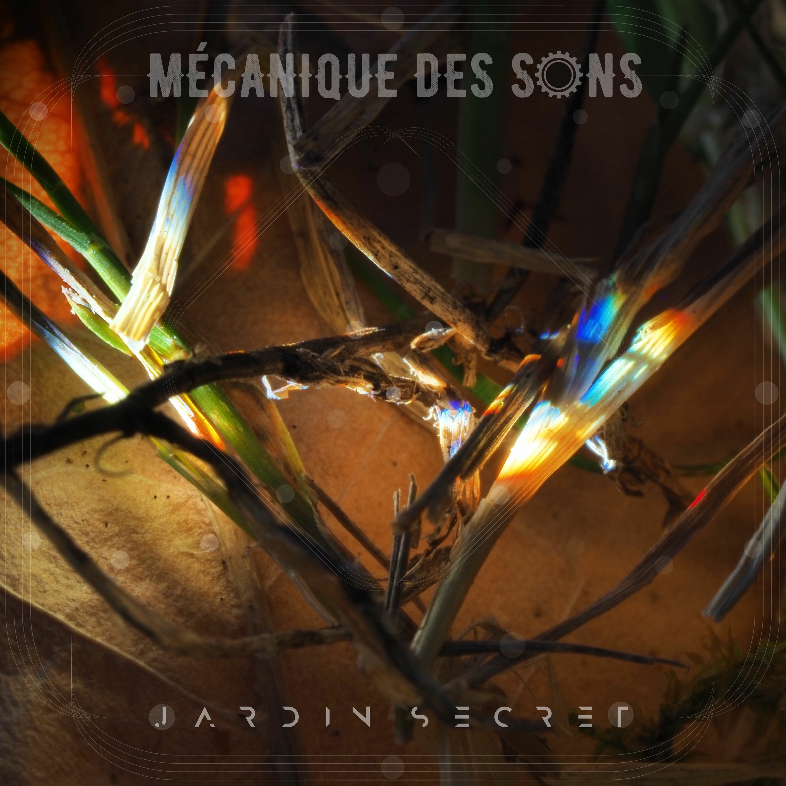Mécanique des sons