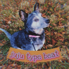 juju type beat