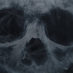 Don't Worry I'm Always Behind You