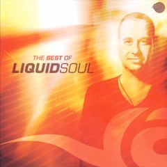 The Best of Liquid Soul (by Psychedelic Universe)