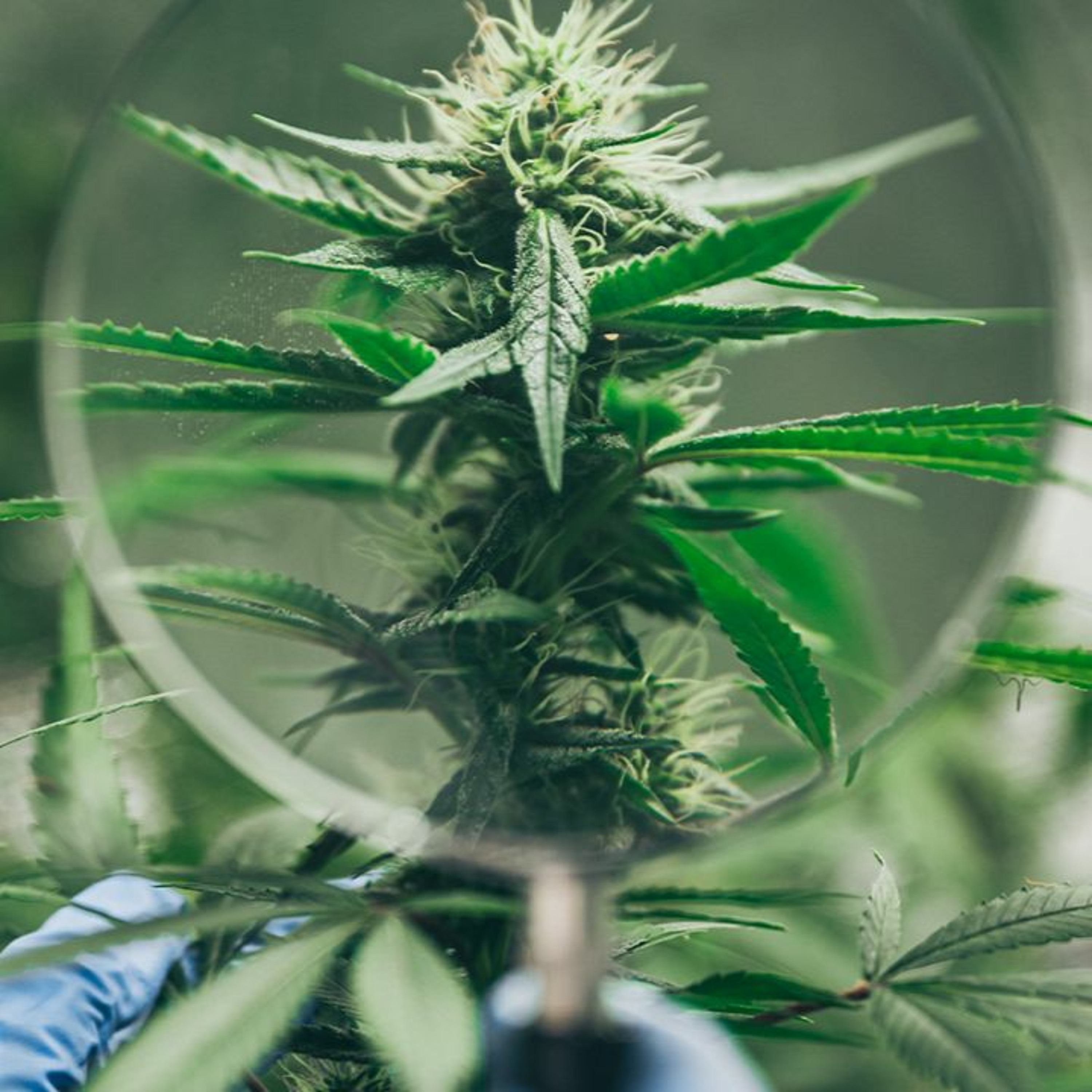 GreenTech podcast