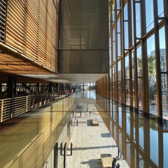 024 | Amongst the Noise