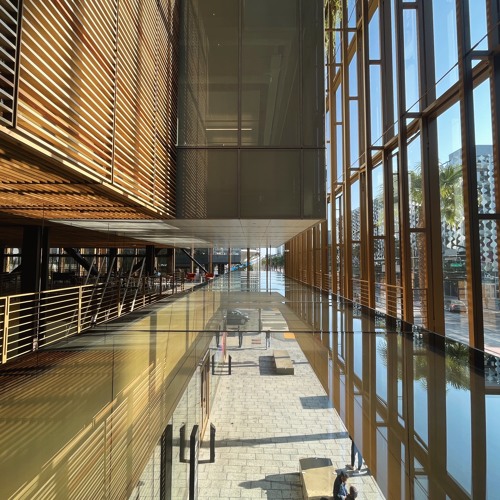 024 | Amongst the Noise