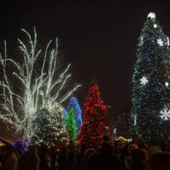 Review Special Price Leavenworth Village Lights Festival From Seattle With Optional Reindeer Farm