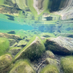 stereo theme song_20251006